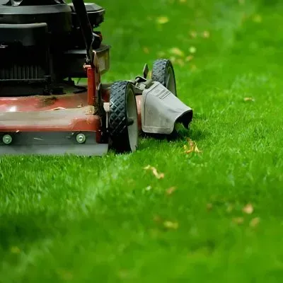Lawn mower operating within permitted weekday hours, 7:30 am to 6:00 pm, under Dunedin City Council noise guidelines.