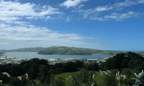 Scenic view over Dunedin Harbour and surrounding hills, illustrating local climate and terrain conditions affecting yard care.
