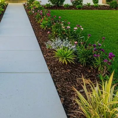 Well-maintained residential garden in Dunedin with defined edging and clear footpath access.