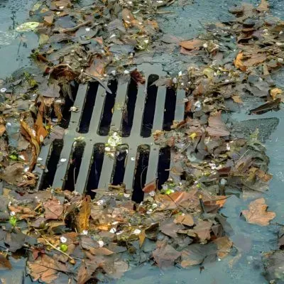 Blocked stormwater drain with leaves and debris, highlighting Dunedin rules to keep waste and contaminants out of drains.