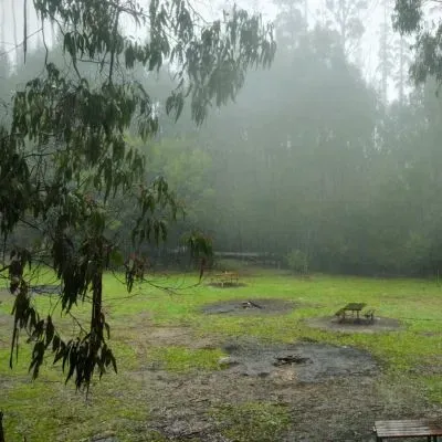 Damp rural Dunedin backyard under overcast conditions, affecting waste handling and outdoor access.