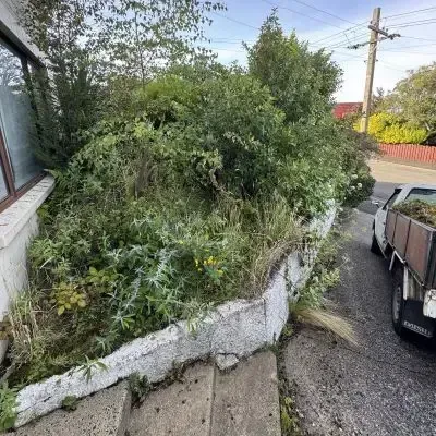 Before: Exterior garden maintenance and tidy, North Dunedin, Dunedin.
