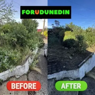 Before & After: Exterior tidy-up, small trees and weed removal in North Dunedin.