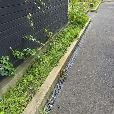 Before: Exterior garden maintenance, St Clair, Dunedin.