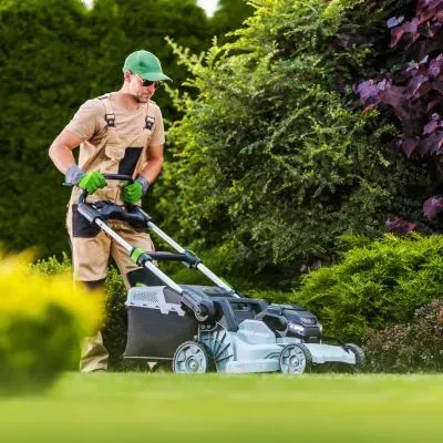 Excellence in mowing by FORUDUNEDIN lawn care specialist in Dunedin.