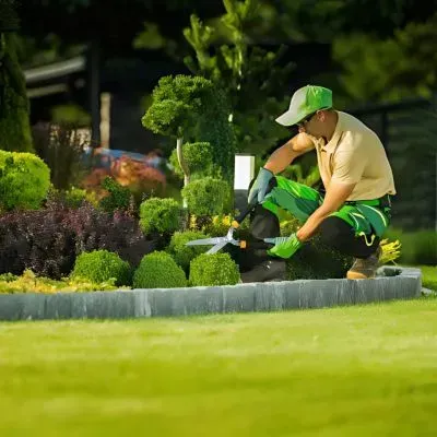 Our FORUDUNEDIN gardener provides all yard maintenance-related services in Dunedin.