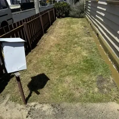 After: Front yard lawn mowing service, St Clair.