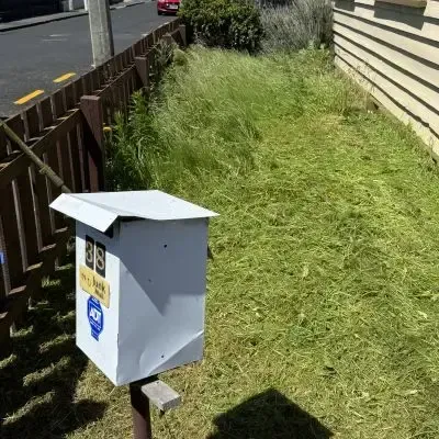Before: Front yard lawn mowing service, St Clair, Dunedin.