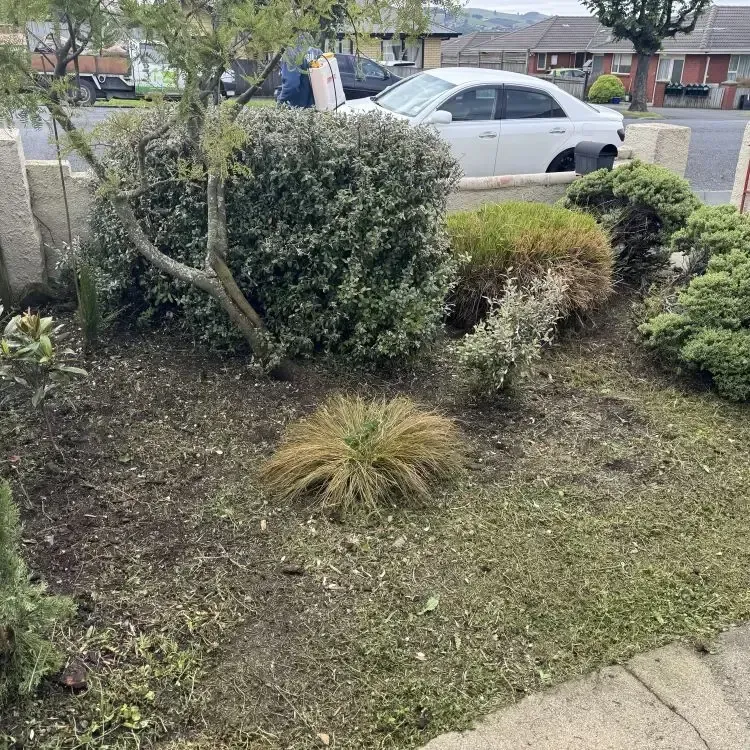 After: Gardening services including weed removal and flower pruning, resulting in a tidy front garden in Abbotsford, Dunedin.