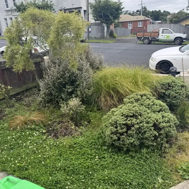 Before: Unmaintained garden needing a tidy-up in Abbotsford, Dunedin.