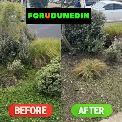 Before & After: Garden bed tidy-up resulting in an easy-to-maintain front garden for our client in Abbotsford, Dunedin.