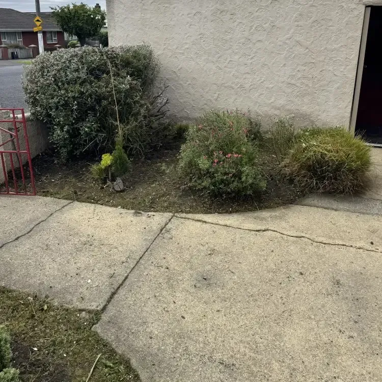 After: Tidied up garden bed, flower pruning, weed removal, and green waste taken away. Pinehill, Dunedin.