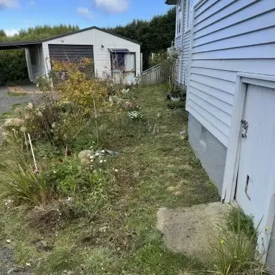 After: Garden care and backyard green waste clean up, St Clair.