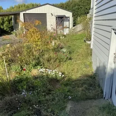 Before: Garden care and backyard green waste clean up, St Clair, Dunedin.