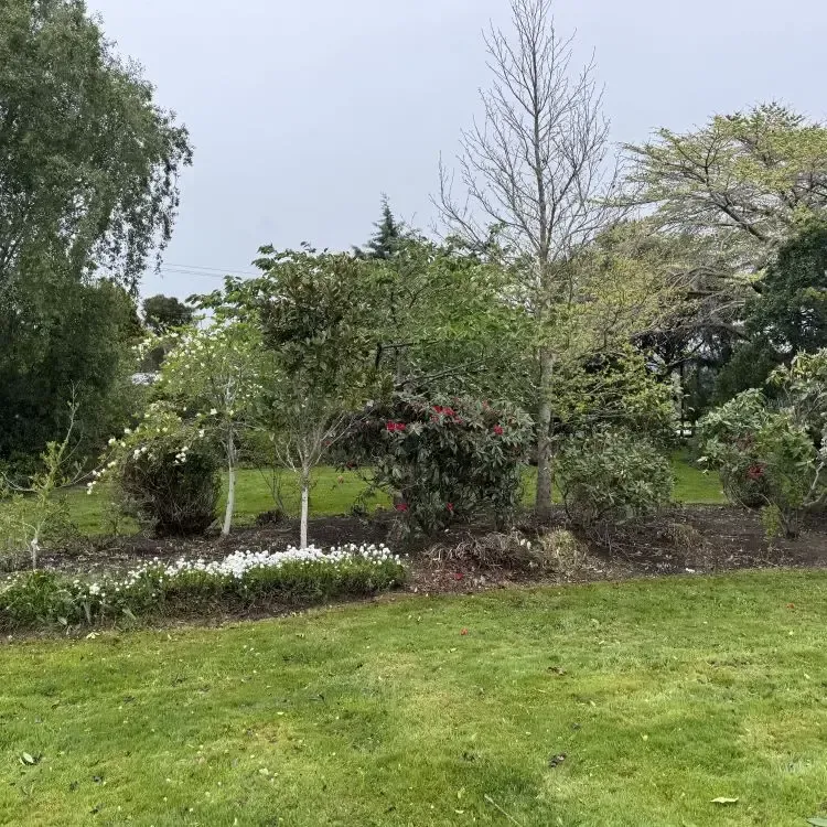 After: Garden maintenance and tree and plant trimming, Allanton.