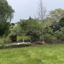 After: Garden maintenance and tree and plant trimming, Allanton.