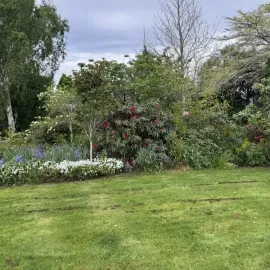 Before: Garden maintenance and tree and plant trimming, Allanton, Dunedin