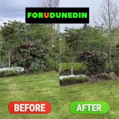Before & After: Tree and flower pruning resulting in a tidy finish in Allanton, Dunedin.