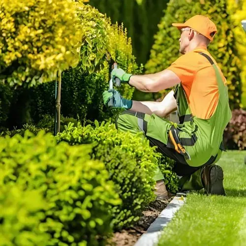Dunedin lawn and garden price range and cost factors.