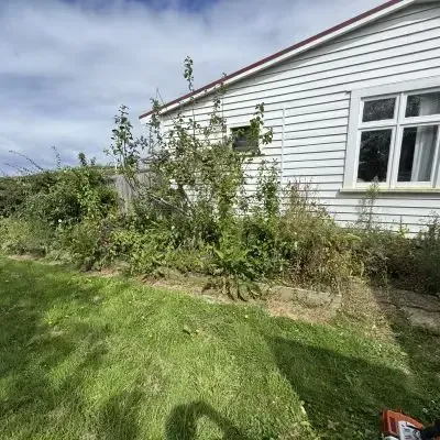 Before: Garden maintenance, tidying of area beside a clients residential home in St Clair, Dunedin.