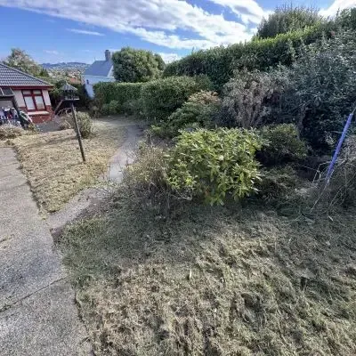 After: Garden management and property clean up, St Clair.