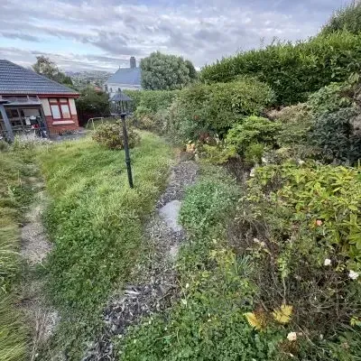 Before: Garden management and property clean up, St Clair, Dunedin.