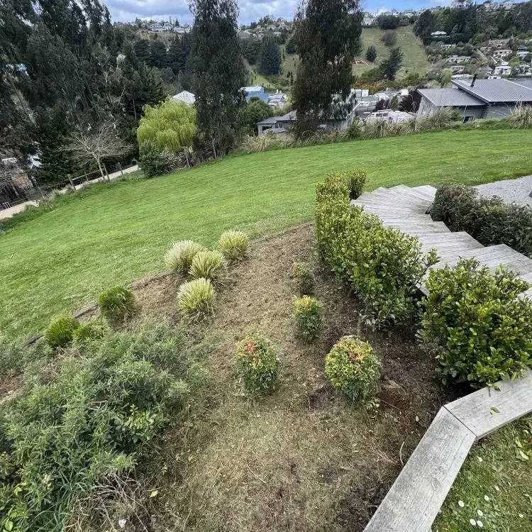 After: Garden tidy-up and weed pulling in Green Island.