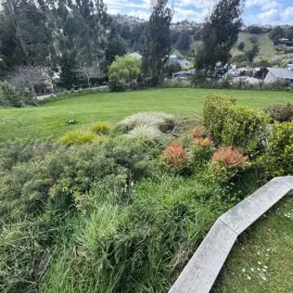 Before: Garden tidy-up and weed pulling in Green Island, Dunedin