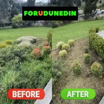 Before & After: Weed pulling and a garden tidy-up in Green Island, Dunedin.