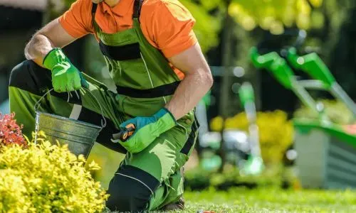 Gardening services on a residential property in Wakari, Dunedin
