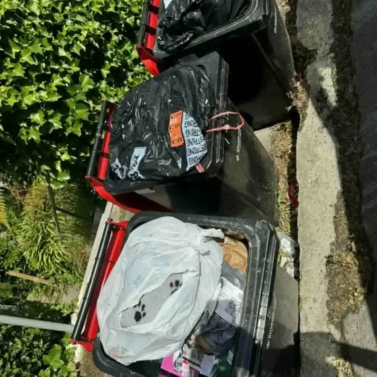 Before: Overflowing general waste bins with bagged household rubbish in North Dunedin, Dunedin.