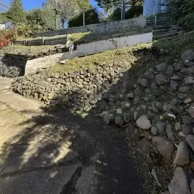 After: Weed removal from wall in North Dunedin.