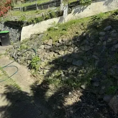 Before: Weed removal from rock wall in North Dunedin, Dunedin.