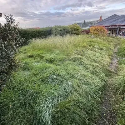 Before: 80 square metre grass cutting job, St Clair, Dunedin.