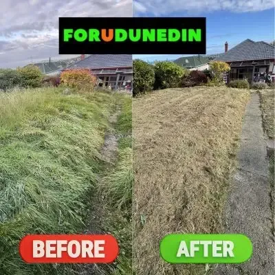 Before & After: Grass trimming service on a 80-metre-square lawn in St. Clair, Dunedin.