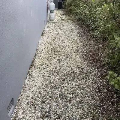 After: Side of home green waste clean-up, North Dunedin.