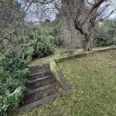 After: Backyard greenwaste clearance and removal on stairs in a residential backyard of a client in St. Clair.
