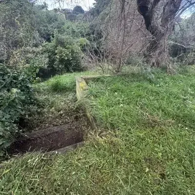 Before: Backyard greenwaste clearance and removal on stairs in a residential backyard of a client in St. Clair.