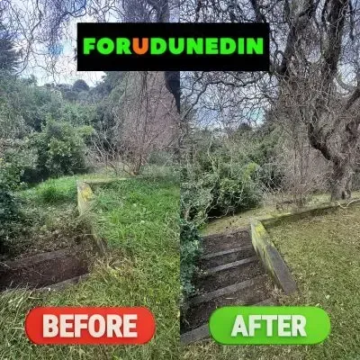 Before & After: Green waste clearing and yard tidy-up services in St. Clair, Dunedin.