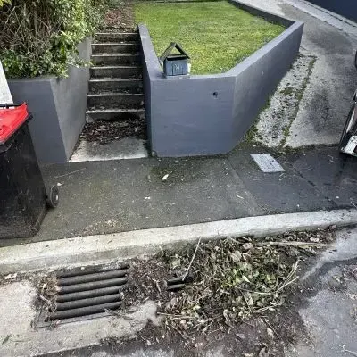 Before: Leaf and garden tidy-up, North Dunedin, Dunedin.