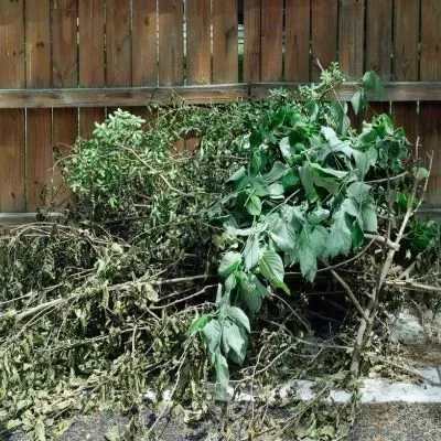 Pile of green waste and garden clippings ready for removal in Calton Hill, Dunedin.