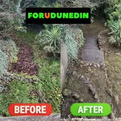 Before & After: Green waste clearing and debris removal from outdoor steps in Roslyn, Dunedin.