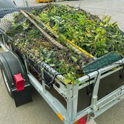 Green waste secured in a trailer, demonstrating safe loading and professional waste handling.