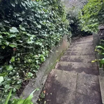 After: Overgrown greenwaste removed from concrete steps and hedge in St. Clair.