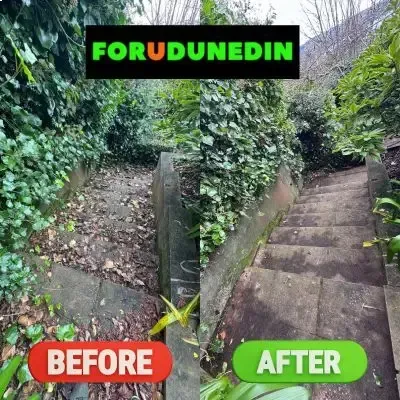 Before & After: Leaf removal and hedge cutting from a stairway during a section tidy-up job in St. Clair, Dunedin.