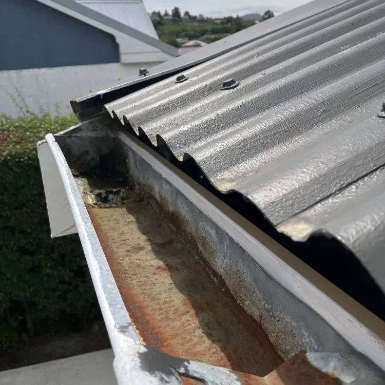 After: Gutter cleaning job completed, removing leaves and debris from the roofline in Bradford, Dunedin.