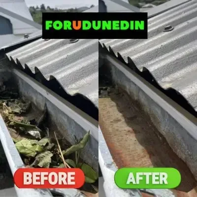 Before & After: Leaves and debris removed from a one-storey unit in Bradford, Dunedin.