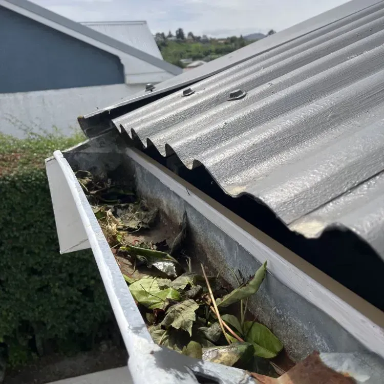 Before: Single-storey unit with leaves and debris in a gutter in Bradford, Dunedin