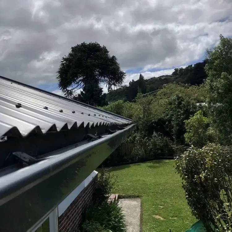 After: Clean roof gutter cleared of grass and debris after gutter cleaning, Concord, Dunedin.