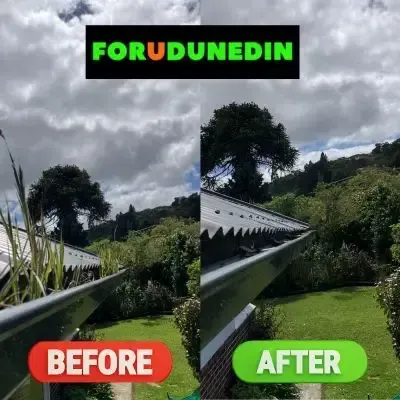 Before & After: Gutter cleaning showing grass and debris removed from the roof gutter, Concord, Dunedin.